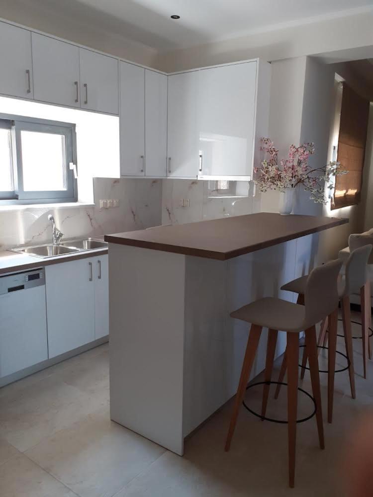 Ionian Stone Luxury Villa 니키아나 외부 사진